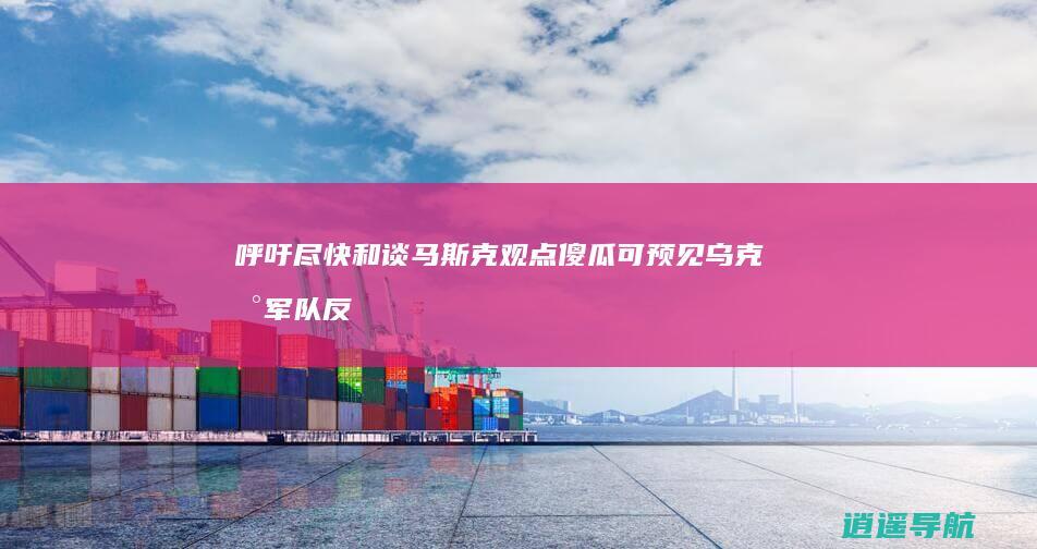 呼吁尽快和谈 马斯克观点 傻瓜可预见乌克兰军队反攻结果