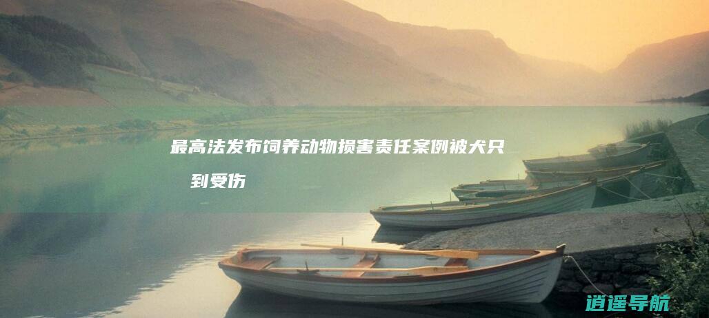最高法发布饲养动物损害责任案例 被犬只吓到受伤 犬主亦担责
