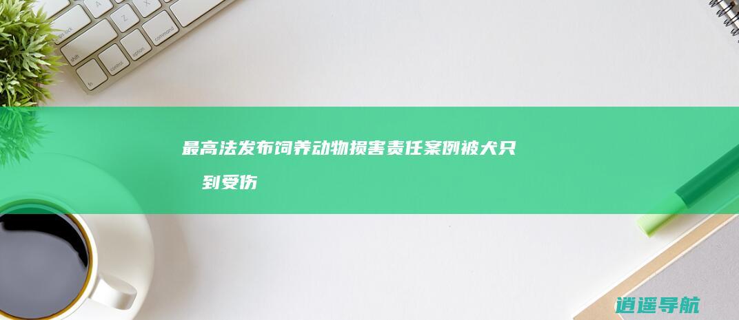 最高法发布饲养动物损害责任案例 被犬只吓到受伤 犬主亦担责<