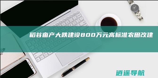 稻谷亩产大跌！ 建设800万元高标准农田改建光伏电站 央视曝光