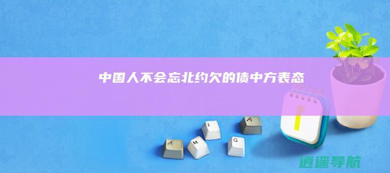 中国人不会忘北约欠的债 中方表态