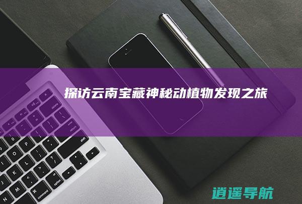 探访云南宝藏 神秘动植物发现之旅