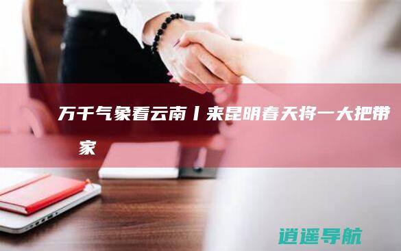 万千气象看云南丨来昆明 春天 将一大把 带回家