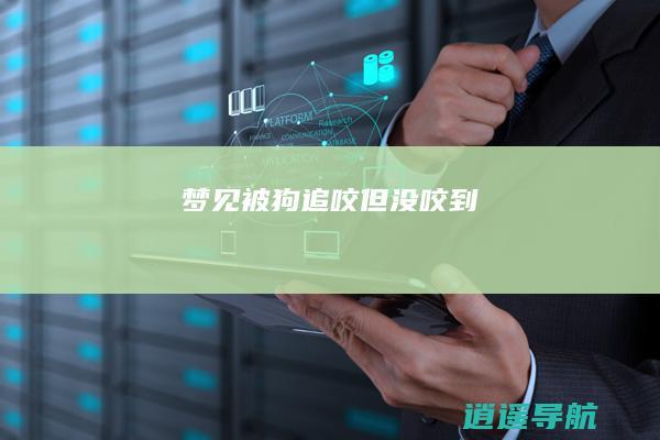 梦见被狗追咬但没咬到