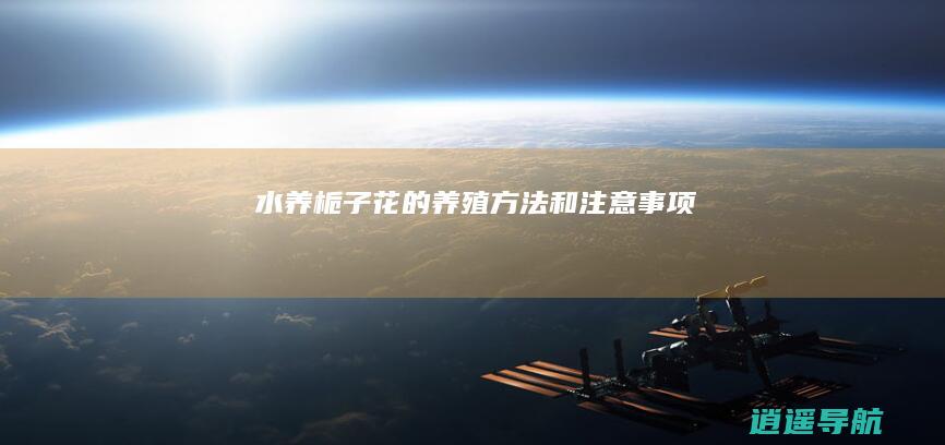 水养栀子花的养殖方法和注意事项