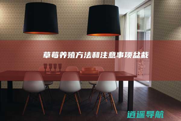 草莓养殖方法和注意事项盆栽