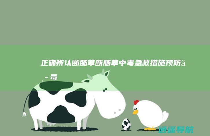 正确辨认断肠草断肠草中毒急救措施 预防中毒
