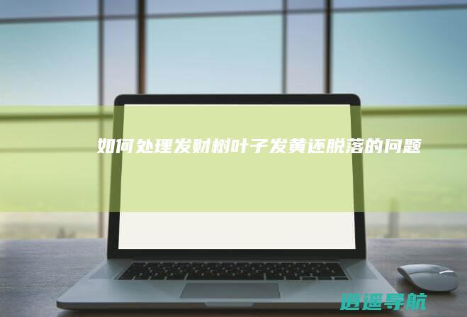 如何处理发财树叶子发黄还脱落的问题