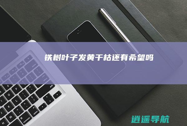 铁树叶子发黄干枯 还有希望吗