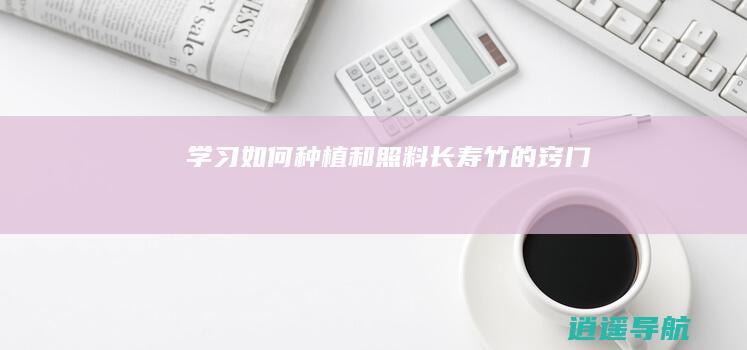 学习如何种植和照料长寿竹的窍门