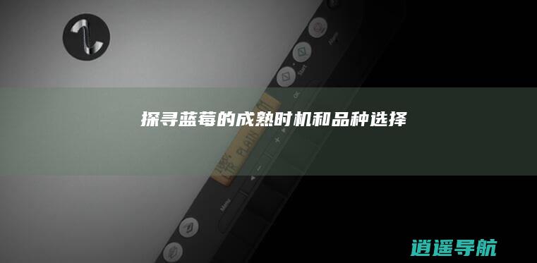 探寻蓝莓的成熟时机和品种选择