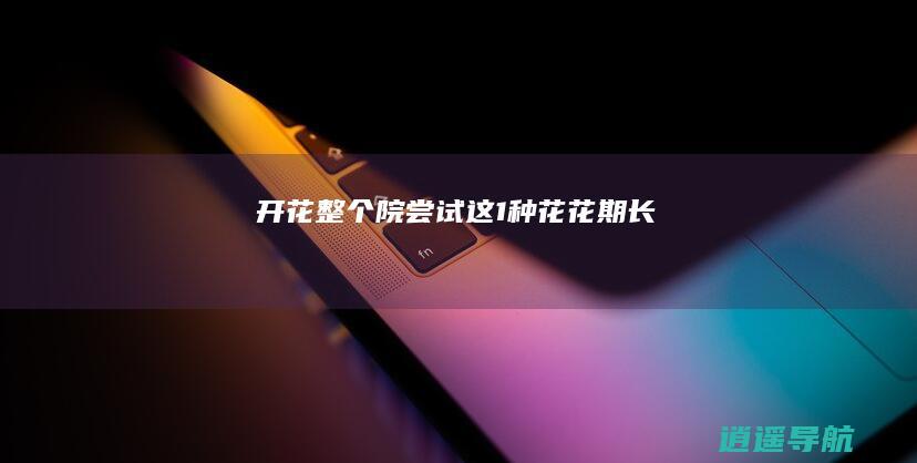 开花整个院 尝试这1种花 花期长