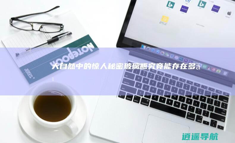 大自然中的惊人秘密 玻璃瓶究竟能存在多久