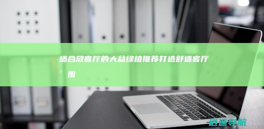 适合放客厅的大盆绿植推荐 打造舒适客厅氛围