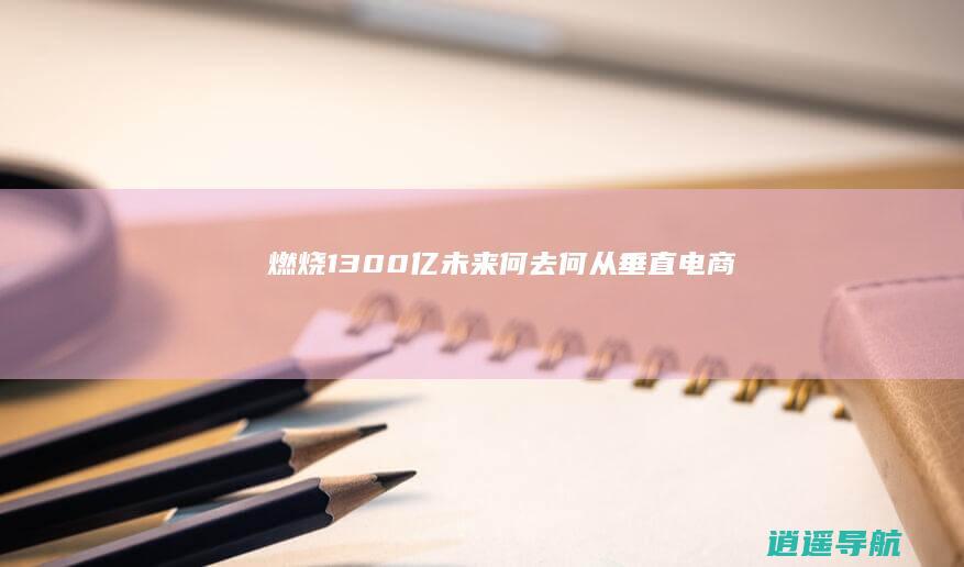 燃烧1300亿！未来何去何从 垂直电商