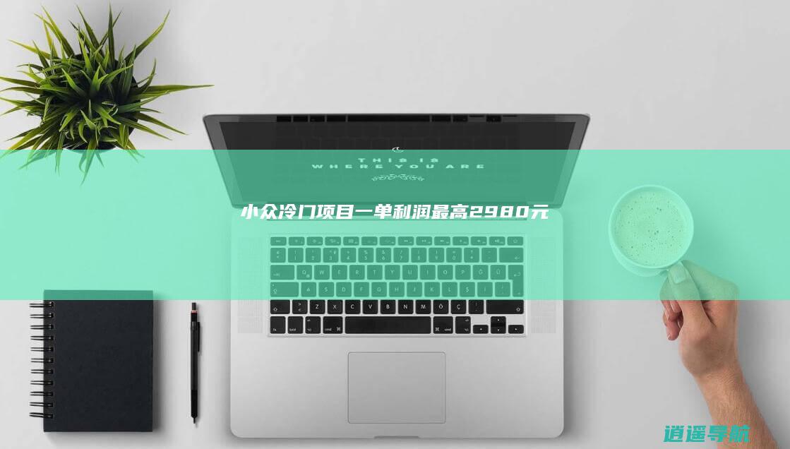 小众冷门项目 一单利润最高2980元