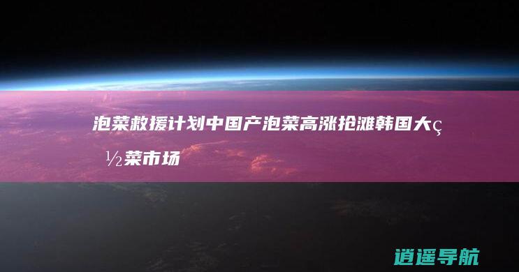 泡菜救援计划 中国产泡菜高涨抢滩韩国大白菜市场