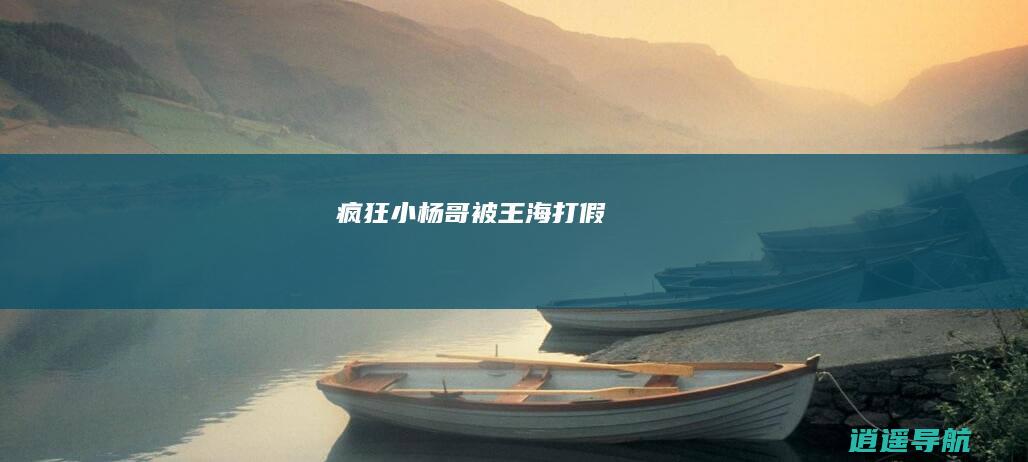 疯狂小杨哥被王海打假