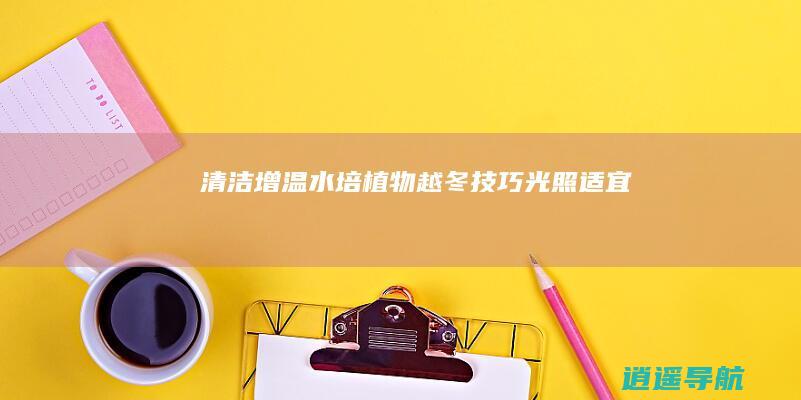 清洁增温 水培植物越冬技巧 光照适宜