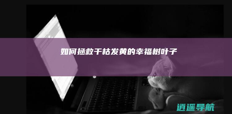 如何拯救干枯发黄的幸福树叶子