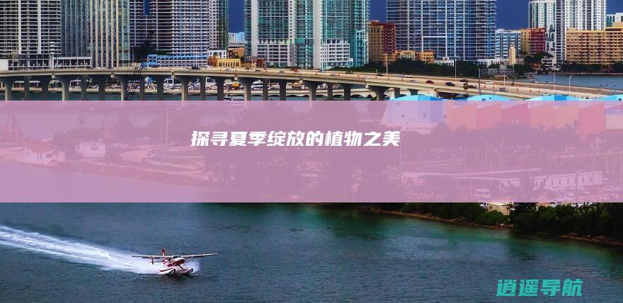 探寻夏季绽放的植物之美