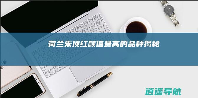 荷兰朱顶红 颜值最高的品种揭秘