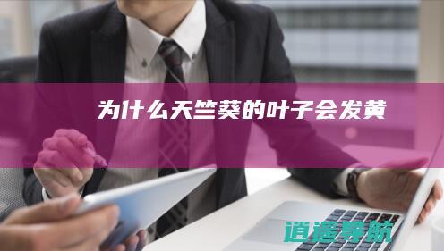 为什么天竺葵的叶子会发黄