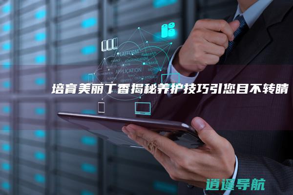 培育美丽丁香 揭秘养护技巧引您目不转睛