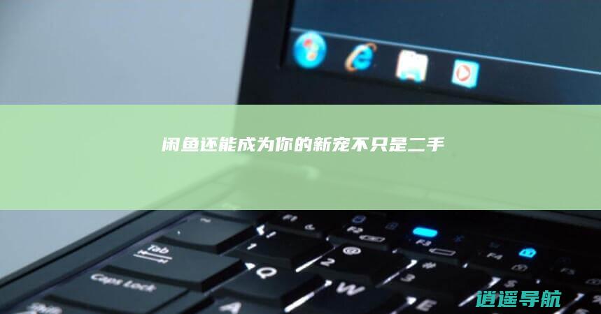 闲鱼 还能成为你的新宠 不只是二手