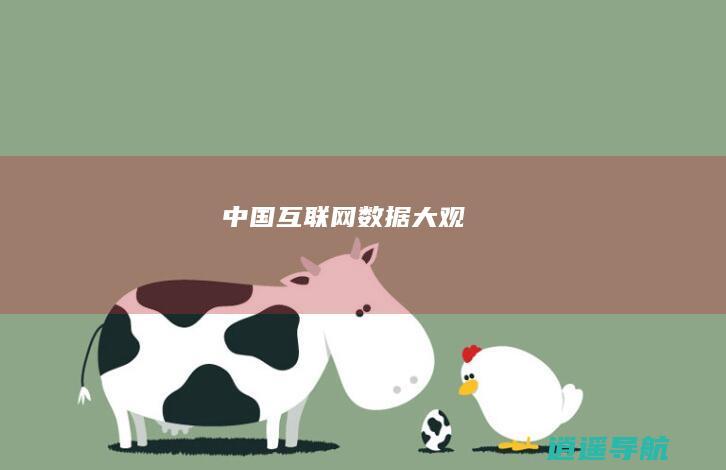 中国互联网数据大观
