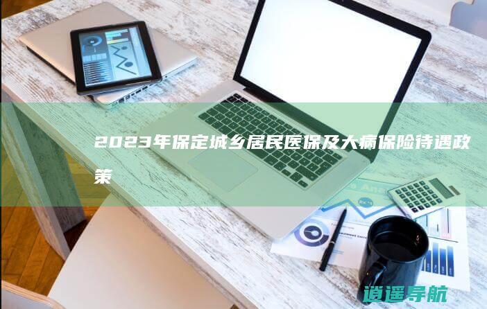 2023年保定城乡居民医保及大病保险待遇政策调整