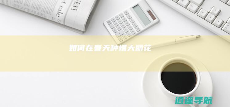 如何在春天种植大丽花