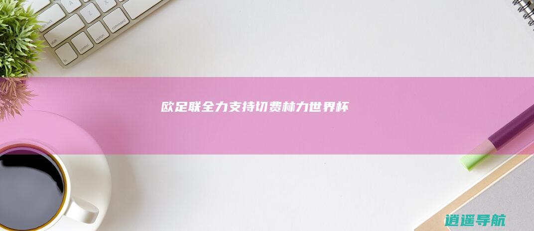 欧足联全力支持切费林力世界杯