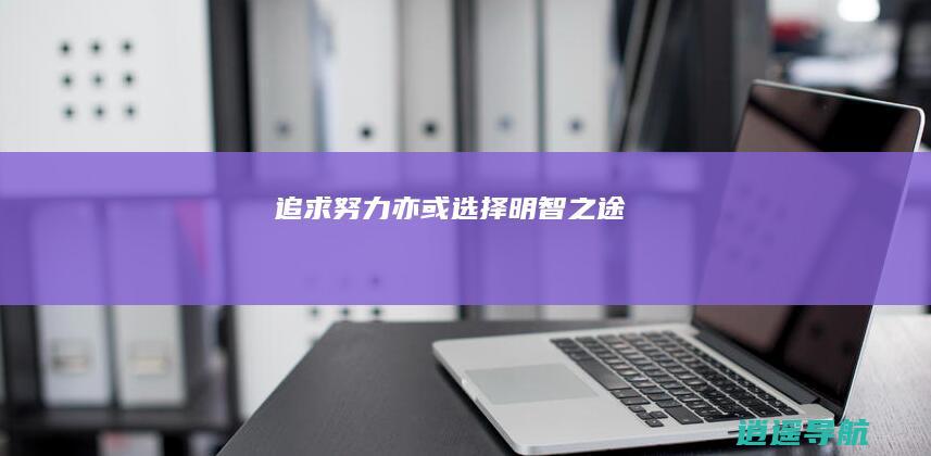 追求努力亦或选择明智之途