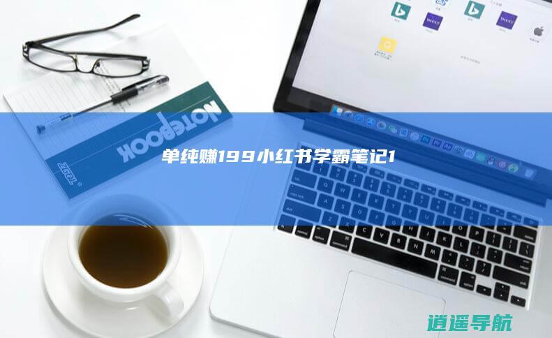 单纯赚19.9 小红书学霸笔记1