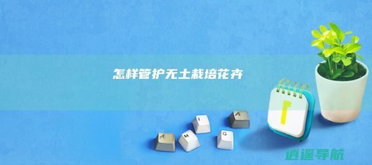 怎样管护无土栽培花卉