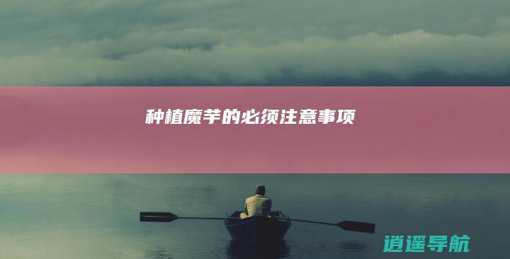 种植魔芋的必须注意事项
