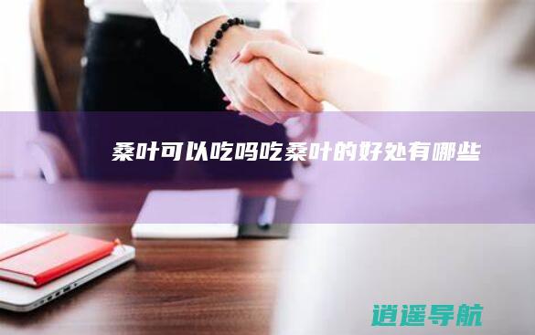 桑叶可以吃吗 吃桑叶的好处有哪些
