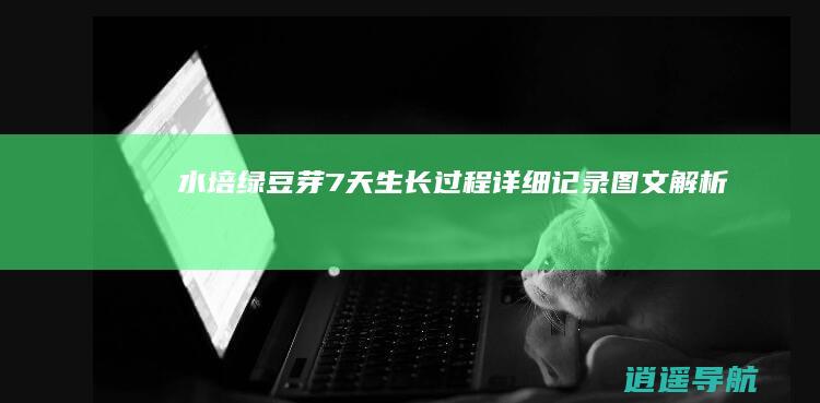 水培绿豆芽7天生长过程详细记录 图文解析