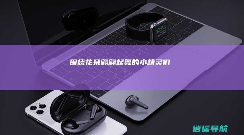 围绕花朵翩翩起舞的小精灵们