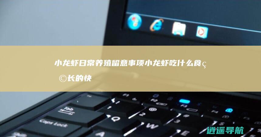 小龙虾日常养殖留意事项 小龙虾吃什么食物长的快