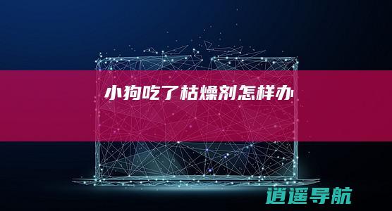 小狗吃了枯燥剂怎样办