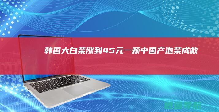 韩国大白菜涨到45元一颗！中国产泡菜成救兵