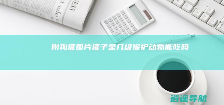 附狗獾图片 獾子是几级保护动物 能吃吗