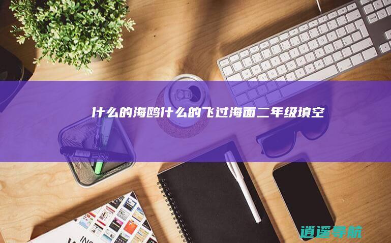 什么的海鸥 什么的飞过海面 二年级填空