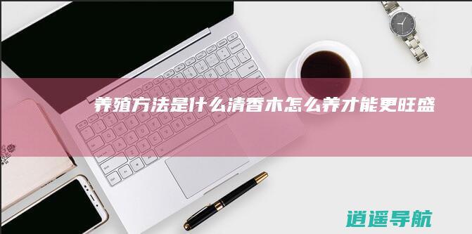 养殖方法是什么 清香木怎么养才能更旺盛