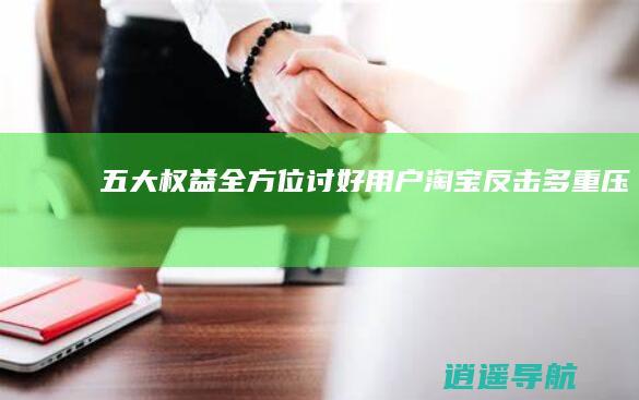 五大权益全方位讨好用户 淘宝反击多重压力