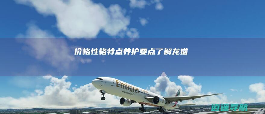 价格 性格特点养护要点 了解龙猫