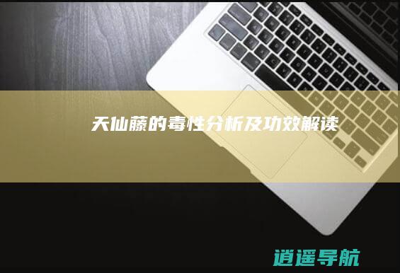 天仙藤的毒性分析及功效解读