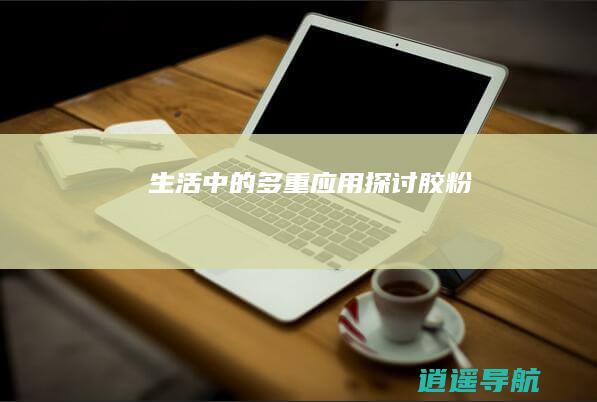 生活中的多重应用 探讨胶粉